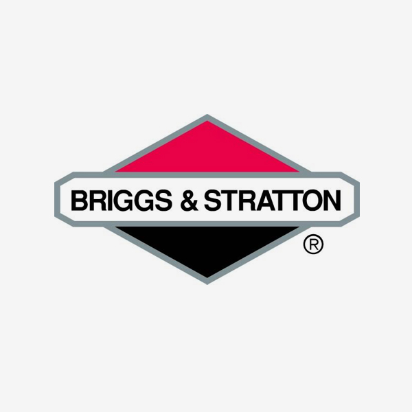 BRIGGS AND STRATION